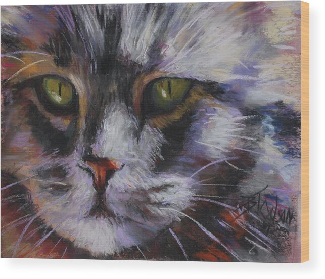 Cats Wood Print featuring the pastel Main Coon by Billie Colson