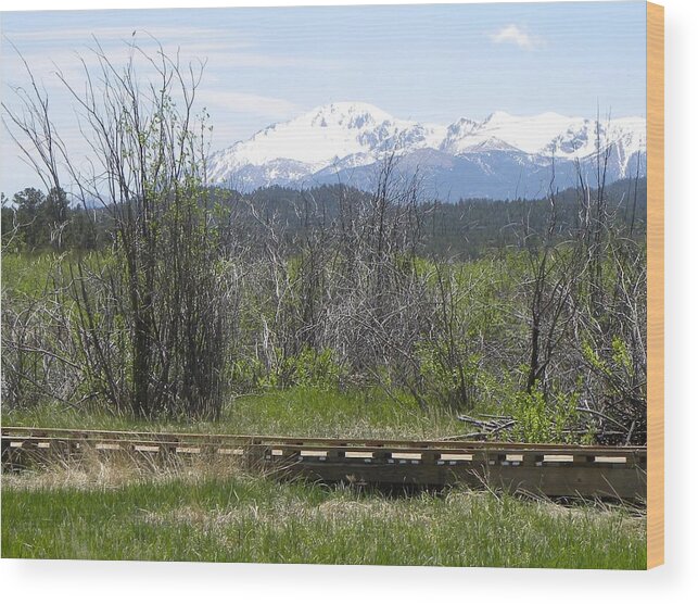 Berg Wood Print featuring the photograph Lake Manitou SP Woodland Park CO #2 by Margarethe Binkley