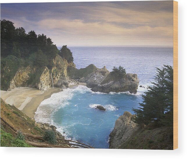 Tim Fitzharris Wood Print featuring the photograph McWay Cove Falls in Big Sur by Tim Fitzharris