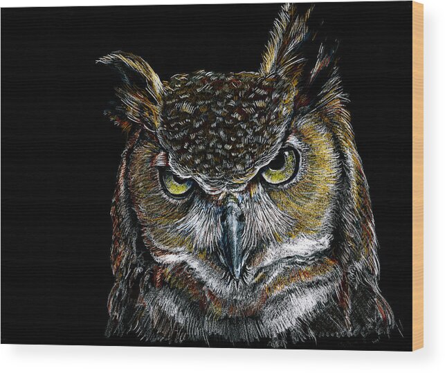 Wildlife Wood Print featuring the drawing Mister Owl by William Underwood