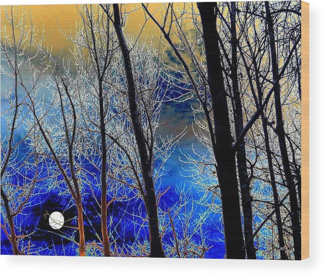 Full Moon Wood Print featuring the digital art Moonlit Frosty Limbs by Will Borden