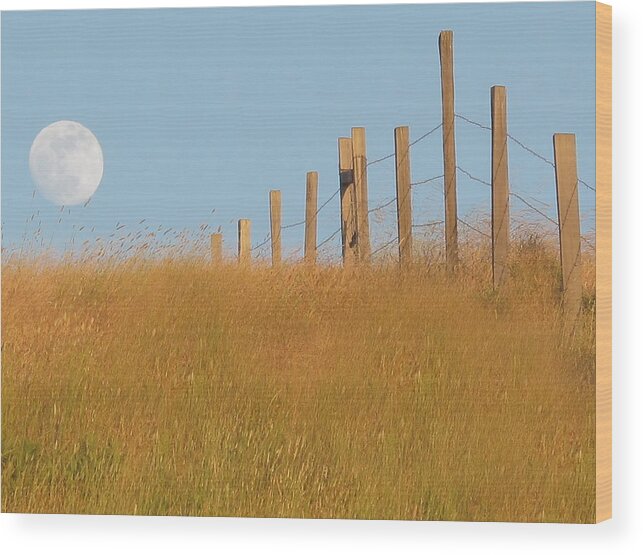 Moon Wood Print featuring the photograph Moonrise in Big Sur by Derek Dean