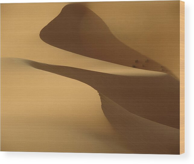 Fantasy Wood Print featuring the photograph Morocco, Detail Of Sand Dunes At Dawn by Ian Cumming
