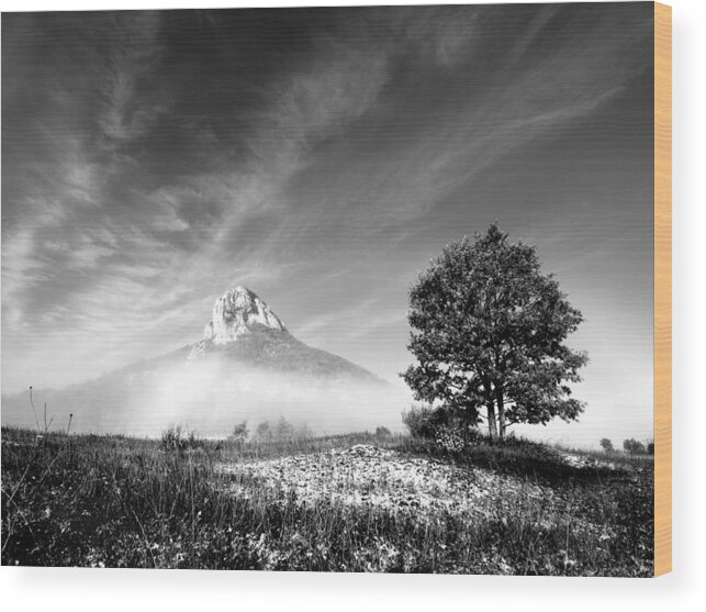 Landscape Wood Print featuring the photograph Mountain Zir by Davorin Mance