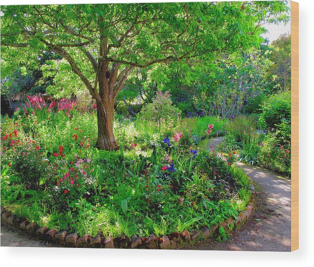 Garden Wood Print featuring the photograph My Favorite Spot by Derek Dean