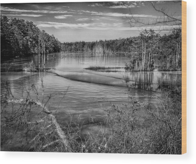 New Jersey Wood Print featuring the photograph New Jersey Pinelands by Louis Dallara