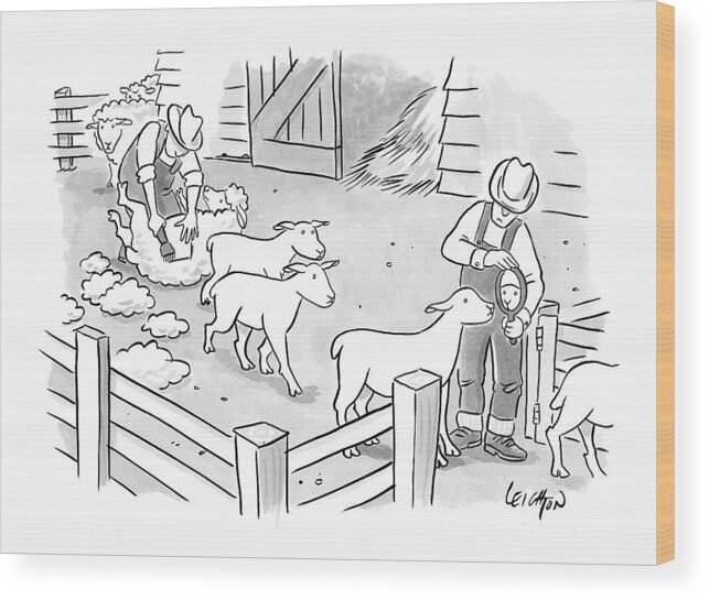 Captionless Shaving Wood Print featuring the drawing Newly-shorn Sheep Walk Out Of A Barn by Robert Leighton