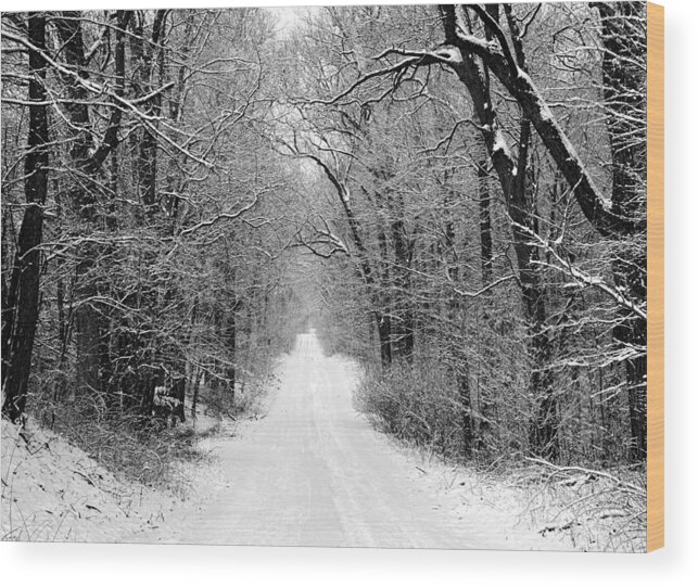 Road Wood Print featuring the photograph Next Stop in winter by John Crothers
