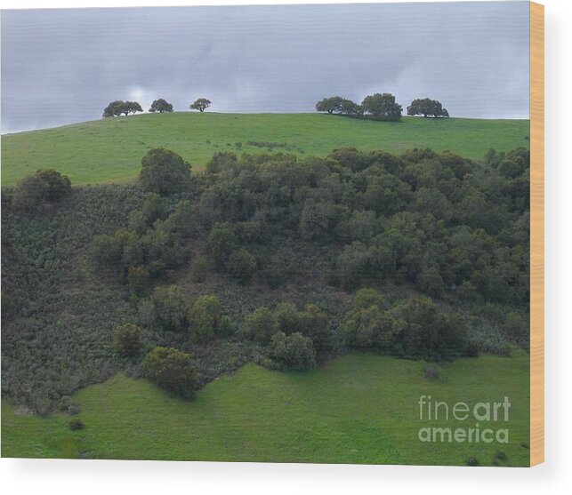Carmel Valley Wood Print featuring the photograph Oaks On A Ridge by James B Toy