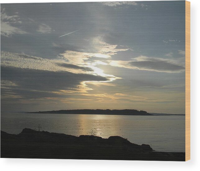 Seascape Wood Print featuring the photograph Overhead by Jean Goodwin Brooks