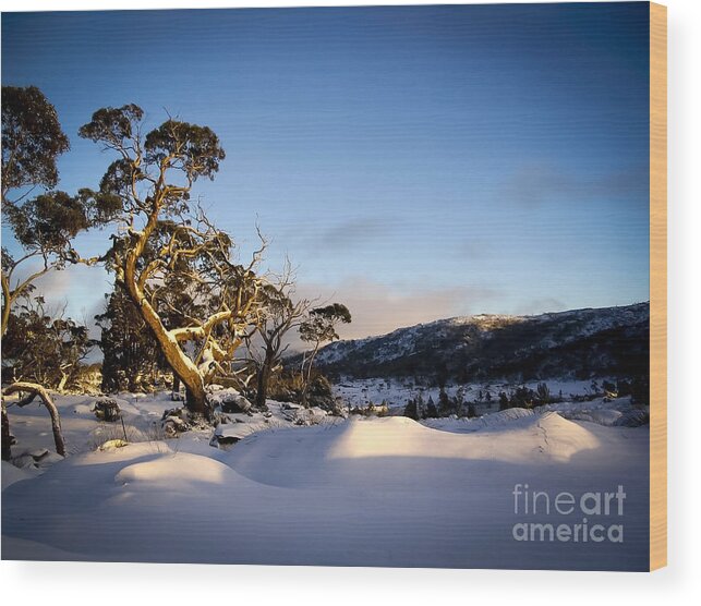 Landscape Wood Print featuring the photograph Overland Track by THP Creative