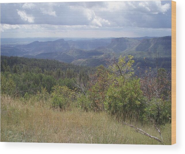 Landscape Wood Print featuring the photograph Overlook Into the Mist by Fortunate Findings Shirley Dickerson