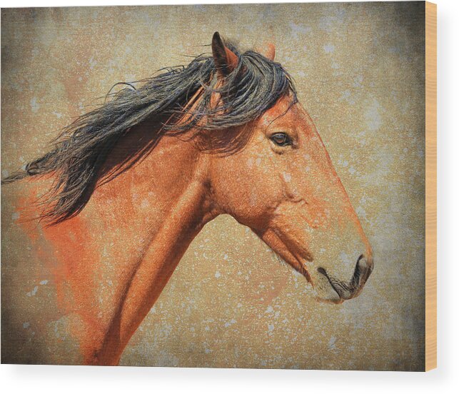 Wild Horses Wood Print featuring the photograph Painted by Steve McKinzie