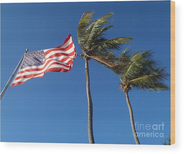 Flag Wood Print featuring the photograph Patriot keys by Carey Chen