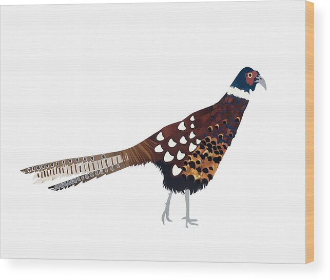 Pheasant Wood Print featuring the painting Pheasant by Isobel Barber