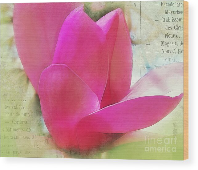 Magnolia Wood Print featuring the photograph Pink and Green by Judi Bagwell