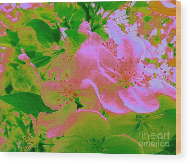 Photography Wood Print featuring the photograph Pink Passion Crabapple by Shelia Kempf