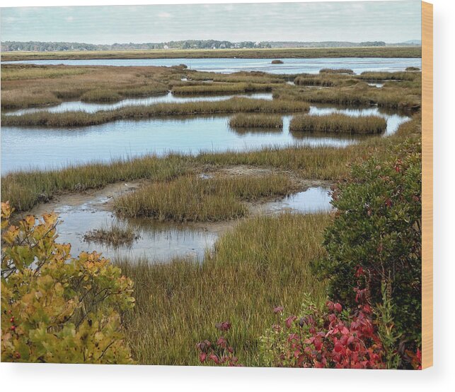 Plum Island Wood Print featuring the photograph Plum Island Marshes in Autumn 2 by Nancy De Flon