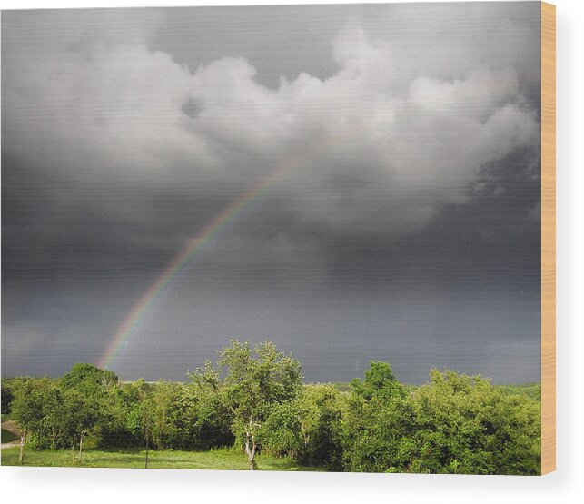 Clouds Wood Print featuring the photograph Pot of Gold by Shannon Story