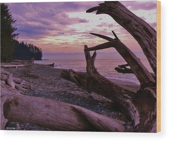 Purple Dreams In Bc Wood Print featuring the photograph Purple Dreams in BC by Barbara St Jean