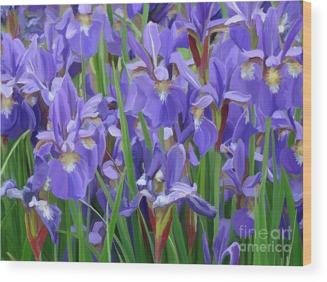 Purple Irises Wood Print featuring the painting Purple Iris Garden by Tim Gilliland