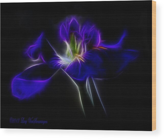 Iris Wood Print featuring the photograph Quasar Iris by Lucy VanSwearingen