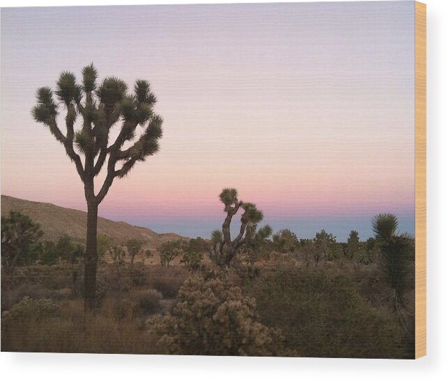 High Desert Wood Print featuring the photograph Rainbow Morning by Angela J Wright