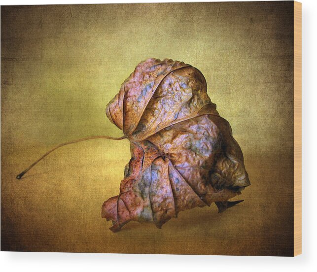 Leaf Wood Print featuring the photograph Remains of the Day by Jessica Jenney