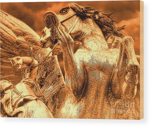 Pegasus Wood Print featuring the photograph Restraining Pegasus by Nigel Fletcher-Jones