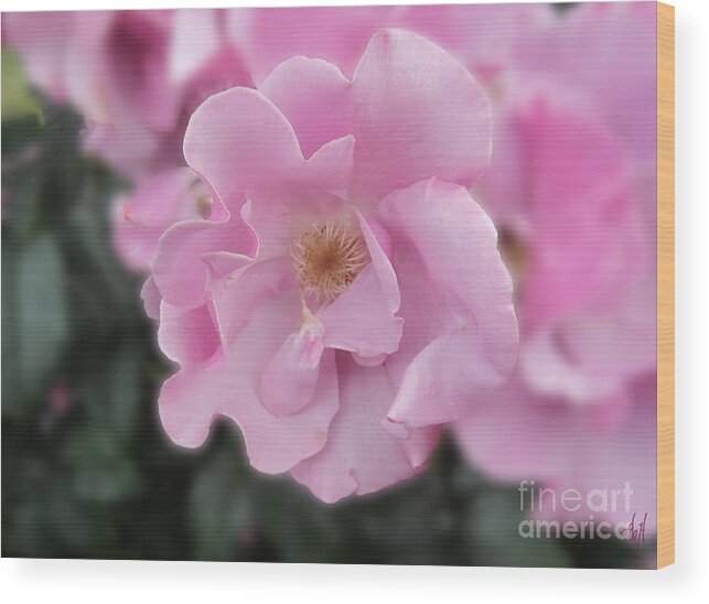 Ruffled Rose Wood Print featuring the photograph Ruffled Rose by Victoria Harrington