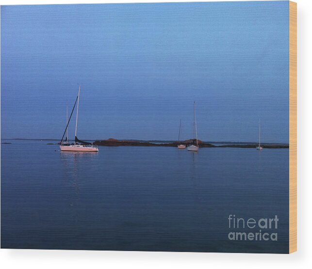 Sailboats Wood Print featuring the digital art Sailboats in the Blue by Xine Segalas