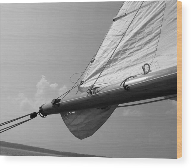 Sail Wood Print featuring the photograph Sailing by Tony Grider