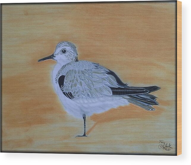 Birds Wood Print featuring the drawing Sanderling by Tony Clark