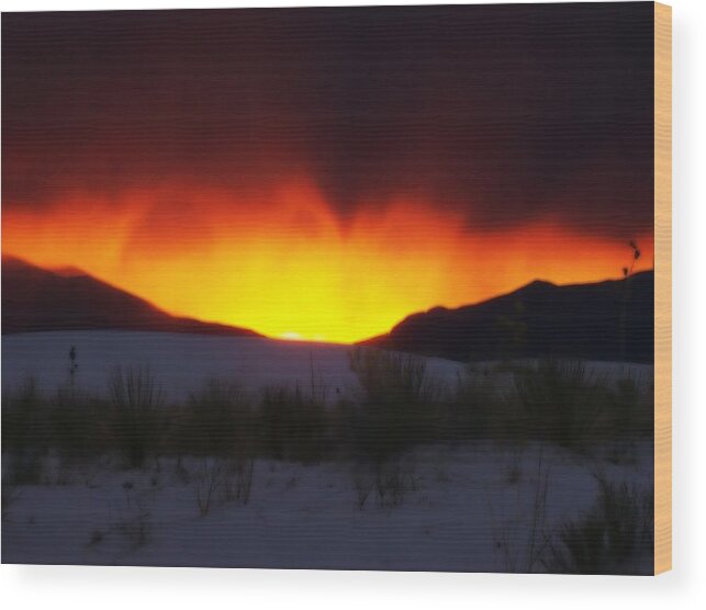 Sun Wood Print featuring the photograph Sands Sunset by Jessica S