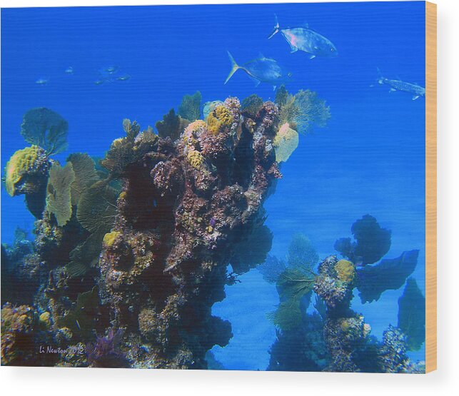 Underwater Photography Wood Print featuring the photograph Sea Light by Li Newton