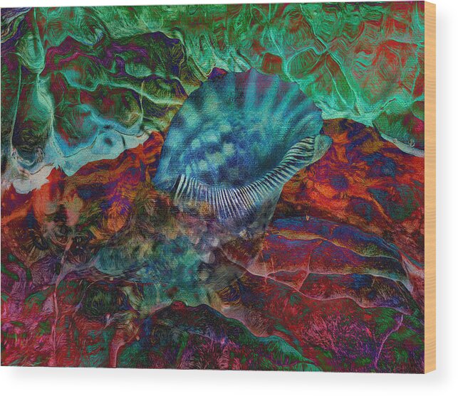 Seashell Wood Print featuring the digital art Seashell in Tide Pool by Sandra Selle Rodriguez