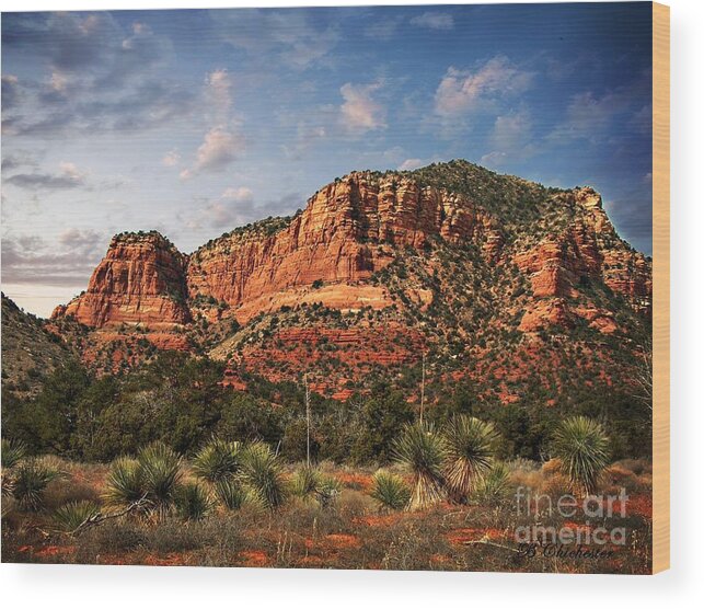 Sedona Arizona Featuring Yucca Plants The Vortex And Red Rock Landscape Scenery Wood Print featuring the photograph Sedona Vortex and Yucca by Barbara Chichester