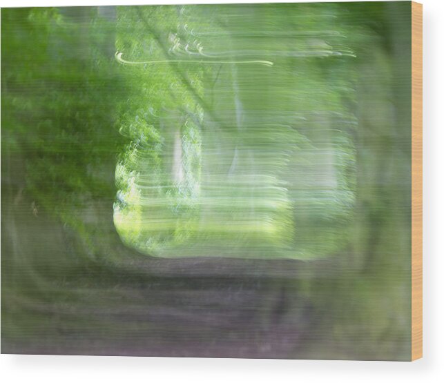 Nature Wood Print featuring the photograph Shimmers Number Four Force Field by Steven Poulton