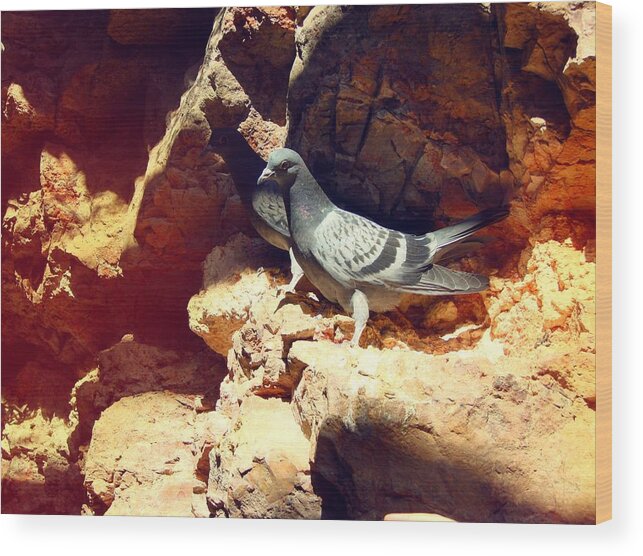 Pigeons Wood Print featuring the digital art Silver birds by Carol Oufnac Mahan