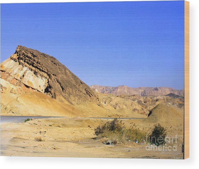 Group Wood Print featuring the photograph Sinai Desert by Jason Sentuf