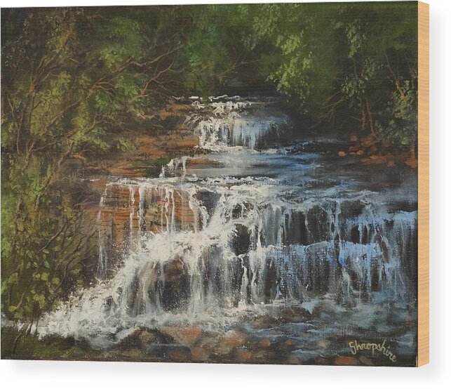 Skillet Creek Falls Wood Print featuring the painting Skillet Creek Falls Wisconsin by Tom Shropshire