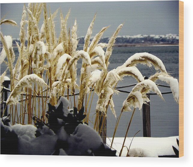 Snow Wood Print featuring the photograph Snow Dust by Karen Wiles