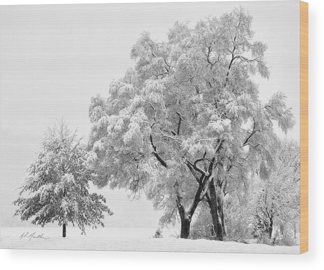 Snow Wood Print featuring the photograph Snowstorm swing by Al Mueller