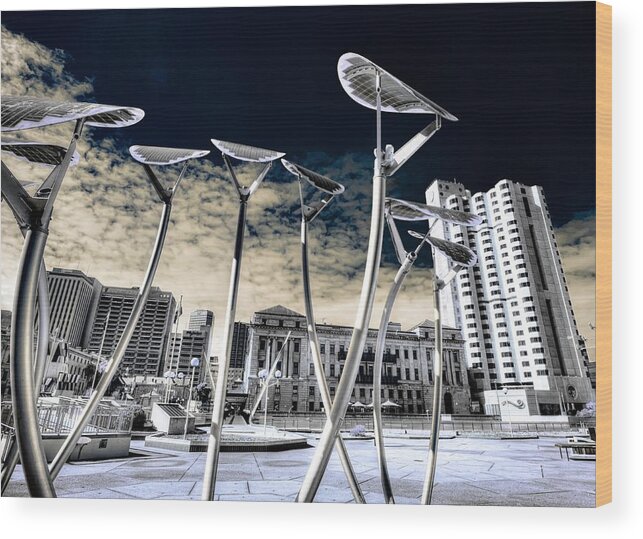 Architecture Wood Print featuring the photograph Solar City by Wayne Sherriff