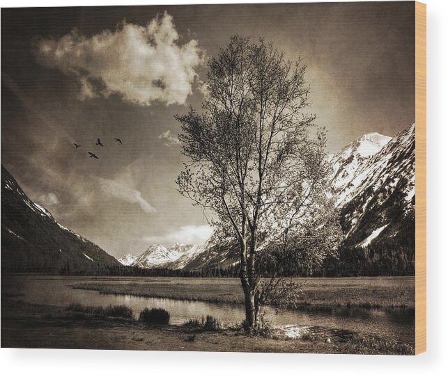 Alaska Wood Print featuring the photograph Some Things Never Change by Michele Cornelius