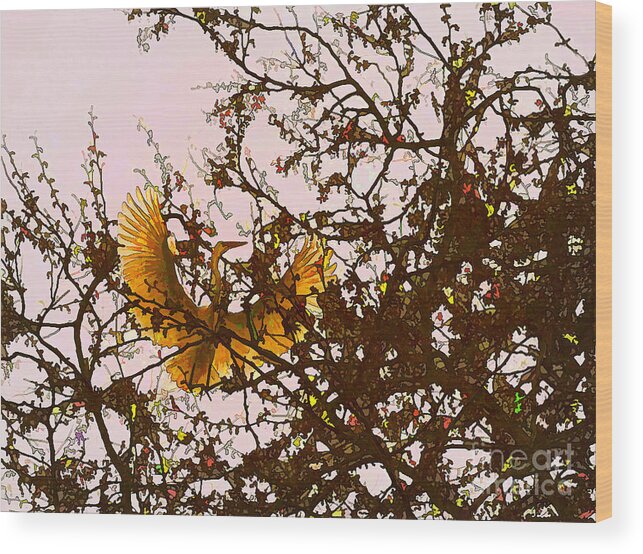 Egret Nesting Wood Print featuring the photograph Spring Flight by Melinda Hughes-Berland