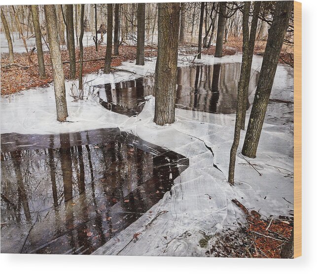 Winter Wood Print featuring the photograph Spring is Coming by Leda Robertson