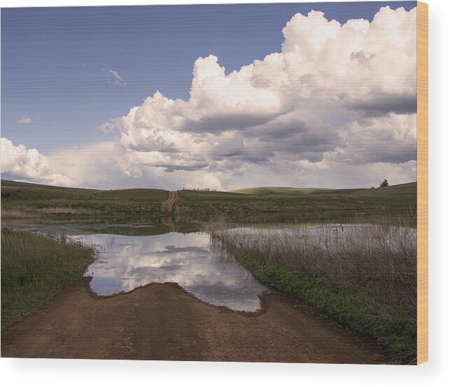 Spring Wood Print featuring the photograph Spring Roads by Kathy Bassett