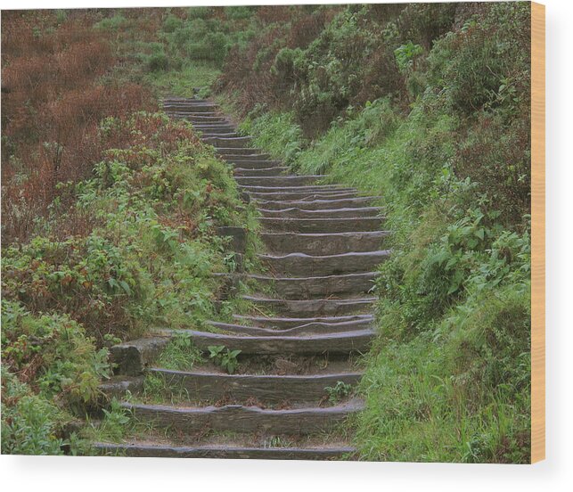 Stairway Wood Print featuring the photograph Stairway To Heaven by Derek Dean