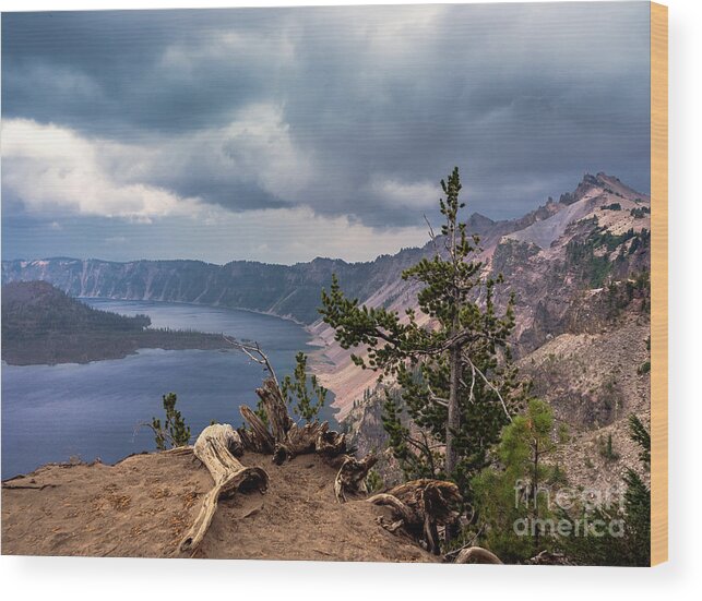 Carrie Cole Wood Print featuring the photograph Storm Looming by Carrie Cole